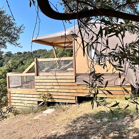Glamping - Il Giardino Di San Giorgio "Armida" Ξενοδοχείο Montorgiali Εξωτερικό φωτογραφία